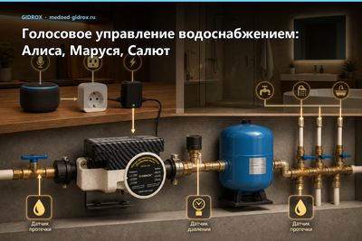 Голосовое управление водоснабжением: Алиса, Маруся, Салют